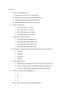 Period 6 1. What is a homologous pair? A. Same size chromosomes