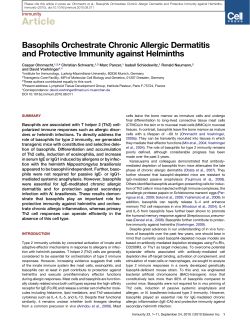 Basophils Orchestrate Chronic Allergic Dermatitis and Protective