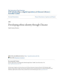 Developing ethnic identity through Chicano