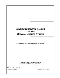 Guide to Mental Illness and the Criminal Justice System