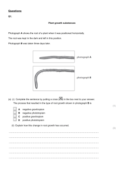 Questions - singhscience