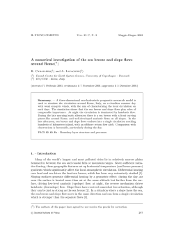A numerical study of the sea breeze, slope winds and convergence