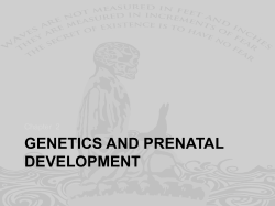 GENETICS AND PRENATAL DEVELOPMENT