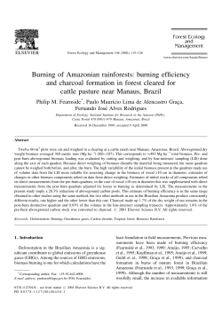 Burning of Amazonian rainforests: burning efficiency and charcoal