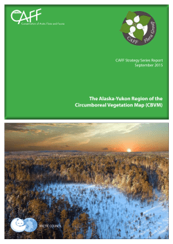 The Alaska-Yukon Region of the Circumboreal Vegetation Map