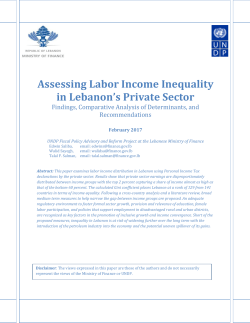 Assessing Labor Income Inequality in Lebanon`s Private