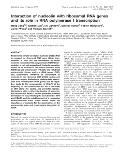 Interaction of nucleolin with ribosomal RNA genes and its role in
