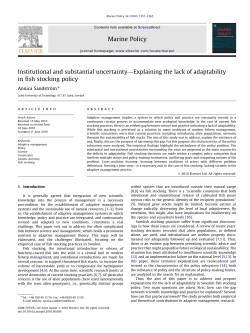 Institutional and substantial uncertainty&mdash;Explaining the lack of