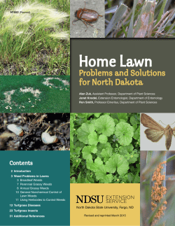Home Lawn Problems and Solutions for North