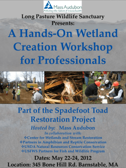 A Hands-On Wetland Creation Workshop for Professionals Part of