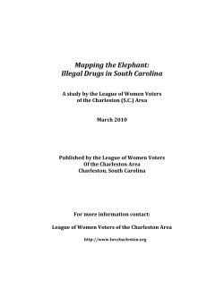 Mapping the Elephant: Illegal Drugs in South Carolina