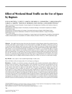 Effect of Weekend Road Traffic on the Use of Space by Raptors