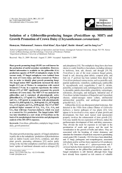 Isolation of a Gibberellin-producing fungus (Penicillium sp. MH7
