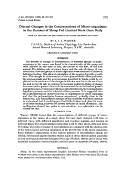 Diurnal Changes in the Concentrations of Micro