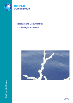 Biodiversity Series Background Document for Lophelia pertusa reefs