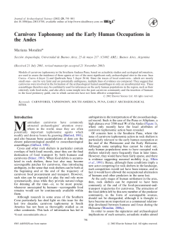 Carnivore Taphonomy and the Early Human Occupations in the Andes