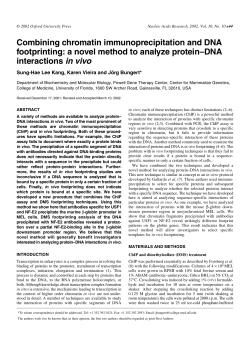 Combining chromatin immunoprecipitation and DNA footprinting: a