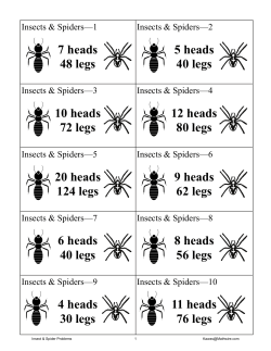 Insect and Spider Problems