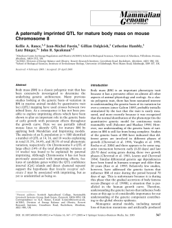 A paternally imprinted QTL for mature body mass on mouse