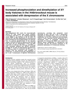 Increased phosphorylation and dimethylation of XY body histones in