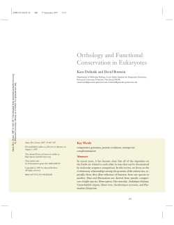 Orthology and Functional Conservation in Eukaryotes
