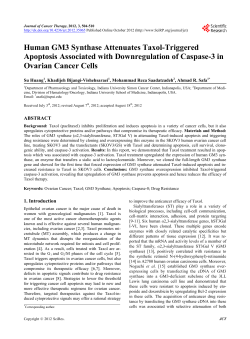 Human GM3 Synthase Attenuates Taxol