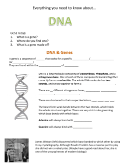 Biology-Worksheet-and-Summer-Task PDF File