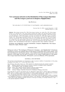 New synonyms and notes on the distribution of Macrosiagon