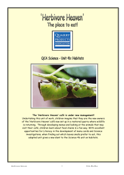 Entire Unit - Virtual Quarry