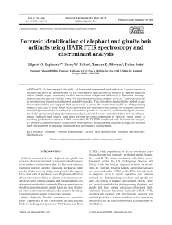Forensic identification of elephant and giraffe hair artifacts using