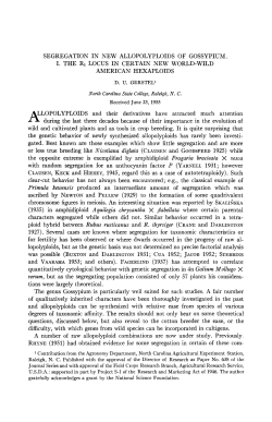 SEGREGATION IN NEW ALLOPOLYPLOIDS OF