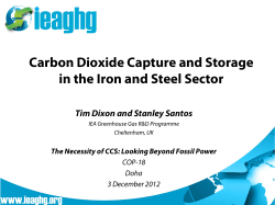 Carbon Dioxide Capture and Storage in the Iron and Steel