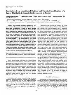 Purification from Conditioned Medium and Chemical Identification of