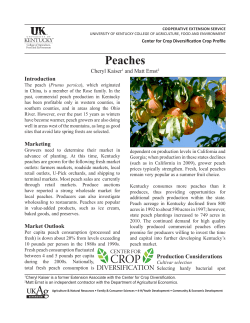 Peaches - University of Kentucky