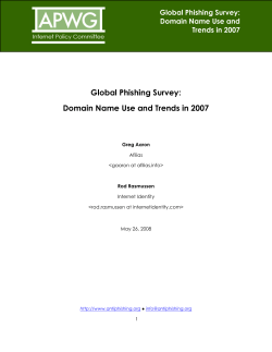 Global Phishing Survey: Domain Name Use and Trends in 2007