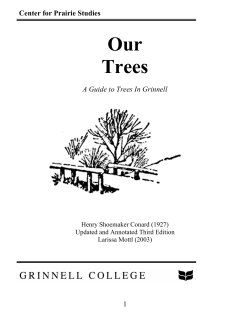 Acrobat Distiller, Job 10