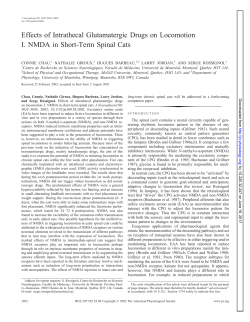Effects of Intrathecal Glutamatergic Drugs on Locomotion I. NMDA in