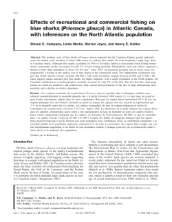 Effects of recreational and commercial fishing on blue sharks