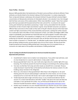 Flavor Profiles Overview
