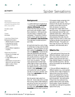 Spider sensations