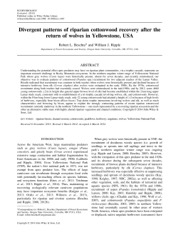 Divergent patterns of riparian cottonwood recovery after the return of