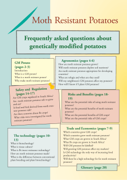 Moth Resistant Potatoes