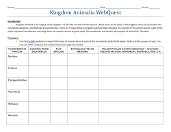 Kingdom Animalia WebQuest