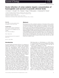 Acute infection of avian malaria impairs concentration of