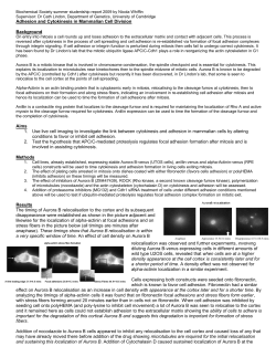 Adhesion and Cytokinesis in Mammalian Cell Division Background