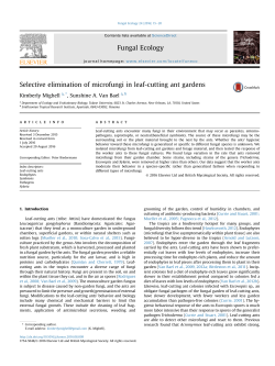 Selective elimination of microfungi in leaf-cutting ant