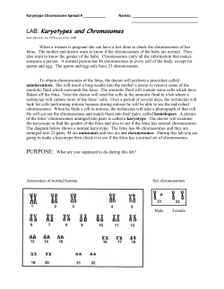 Karyotypes and Chromosomes