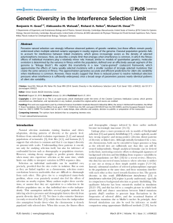 Genetic Diversity in the Interference Selection Limit