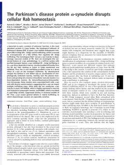 synuclein disrupts cellular Rab homeostasis - Lindquist Lab