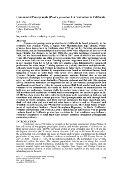 Commercial Pomegranate (Punica granatum L.) Production in